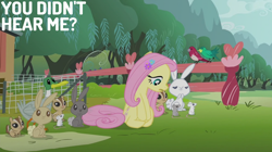 Size: 2000x1123 | Tagged: safe, edit, edited screencap, editor:quoterific, screencap, angel bunny, fluttershy, bird, duck, mouse, pegasus, pony, rabbit, squirrel, filli vanilli, g4, season 4, animal, chicken coop, everfree forest, female, fence, mare