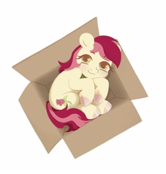 Size: 1524x1600 | Tagged: safe, artist:oregon, roseluck, pony, g4, behaving like a cat, box, collar, commission, commissioner:doom9454, cute, pony in a box, pony pet, rosepet, simple background, solo, white background