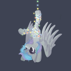 Size: 2048x2048 | Tagged: safe, artist:selkie, oc, oc only, oc:virtuous hope, pegasus, pony, belly, christmas, christmas lights, commission, featureless crotch, female, hanging, hanging upside down, high res, holiday, mare, partially open wings, pegasus oc, round belly, solo, tangled up, upside down, wings, ych result
