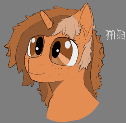 Size: 548x535 | Tagged: safe, artist:meadow dweller, oc, oc only, oc:sign, pony, unicorn, bust, female, freckles, gray background, simple background, smiling, solo