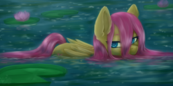 Size: 5000x2508 | Tagged: safe, artist:evlass, fluttershy, pegasus, pony, g4, colored pupils, cute, ear fluff, female, flower, folded wings, high res, lidded eyes, lilypad, looking at you, mare, outdoors, partially submerged, shyabetes, smiling, smiling at you, solo, water, wet, wet mane, wings