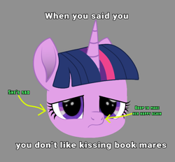 Size: 700x650 | Tagged: safe, artist:k. dale, twilight sparkle, pony, unicorn, g4, boop, bottom text, bust, caption, cute, female, gray background, head only, image macro, mare, meme, movie accurate, sad, sadorable, simple background, solo, text, twiabetes, unicorn twilight
