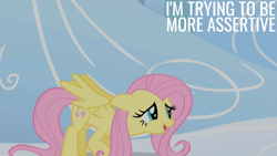 Size: 2000x1125 | Tagged: safe, edit, edited screencap, editor:quoterific, screencap, fluttershy, g4, sonic rainboom (episode), solo