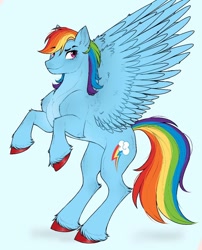 Size: 858x1064 | Tagged: safe, artist:mayka-7, rainbow dash, pegasus, pony, g4, concave belly, female, leg fluff, mare, rearing, redesign, solo, spread wings, unshorn fetlocks, wings