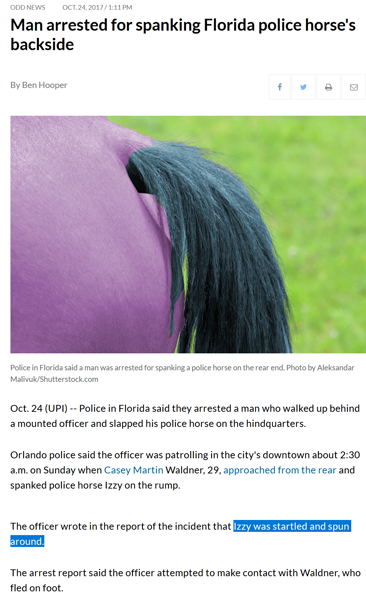 What's your Florida Man headline? - The Florida Man Report