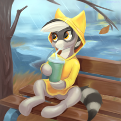 Size: 2698x2696 | Tagged: safe, artist:foxpit, artist:pabbley, oc, oc only, oc:bandy cyoot, hybrid, pony, raccoon, raccoon pony, bench, clothes, female, high res, leaf, mare, rain, raincoat, solo, tree
