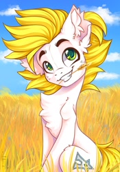 Size: 1668x2388 | Tagged: safe, artist:falafeljake, oc, oc only, oc:alabastor amril, earth pony, pony, chest fluff, cloud, commission, cute, ear fluff, earth pony oc, eyebrows, field, food, grin, looking at you, mouth hold, ocbetes, signature, sitting, sky, smiling, smiling at you, solo, straw in mouth, ukraine, wheat, ych result