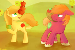 Size: 1280x859 | Tagged: safe, artist:cottonsulk, big macintosh, braeburn, earth pony, pony, g4, apple, basket, duo, food, male, stallion