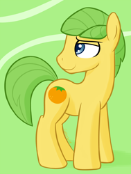 Size: 1000x1322 | Tagged: safe, artist:cottonsulk, mosely orange, uncle orange, earth pony, pony, g4, male, solo, stallion