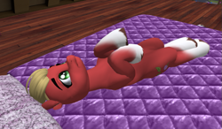 Size: 825x483 | Tagged: safe, sprout cloverleaf, earth pony, pony, g5, 3d, bed, bored, lying down, male, on back, second life, solo, stallion