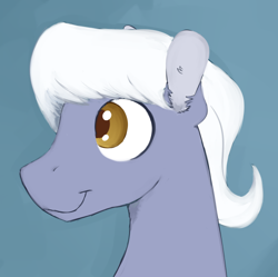 Size: 500x497 | Tagged: safe, artist:cottonsulk, oc, oc only, oc:royal riff, earth pony, pony, bust, male, solo, stallion