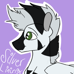 Size: 600x600 | Tagged: safe, artist:cottonsulk, oc, oc only, oc:silver lining, pegasus, pony, male, solo, stallion