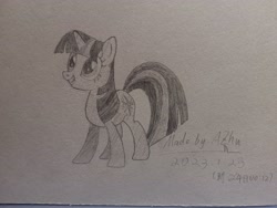 Size: 3648x2736 | Tagged: safe, artist:azhu, twilight sparkle, pony, unicorn, g4, high res, smiling, solo, traditional art, unicorn twilight