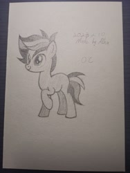 Size: 2736x3648 | Tagged: safe, artist:azhu, oc, oc only, oc:azhu, earth pony, pony, earth pony oc, high res, solo, traditional art