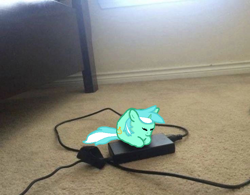 Size: 736x575 | Tagged: safe, artist:derpy_fan, lyra heartstrings, pony, unicorn, g4, behaving like a cat, charger, cute, eyes closed, lying down, lyrabetes, ponified animal photo, prone, sleeping, smol, solo