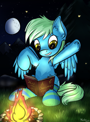 Size: 1703x2304 | Tagged: safe, artist:yashn37, oc, oc only, pegasus, pony, book, campfire, clothes, female, fire, night, pegasus oc, socks, solo, striped socks