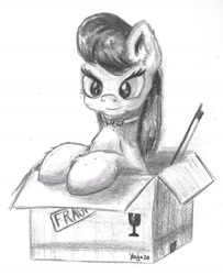 Size: 1608x1977 | Tagged: safe, artist:yashn37, octavia melody, earth pony, pony, g4, box, female, monochrome, pony in a box, solo, traditional art