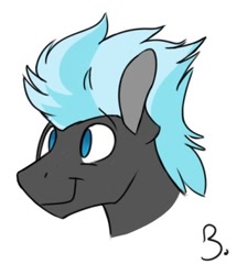 Size: 386x430 | Tagged: safe, artist:cottonsulk, thunderlane, pony, g4, bust, male, simple background, solo, stallion, white background