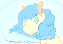 Size: 650x460 | Tagged: safe, artist:cottonsulk, oc, oc only, oc:soft spot, pony, bust, looking at you, male, solo, stallion