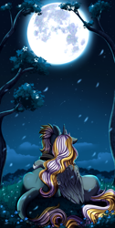 Size: 2008x3983 | Tagged: safe, artist:pridark, oc, oc only, alicorn, earth pony, pony, alicorn oc, duo, high res, horn, moon, night, stars, tree, wings