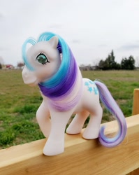 Size: 1280x1612 | Tagged: safe, gingerbread, earth pony, pony, twinkle eyed pony, g1, beautiful, brushable, female, irl, mare, merchandise, photo, ponies in real life, solo, toy