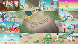 Size: 1280x721 | Tagged: safe, editor:quoterific, applejack, fluttershy, rainbow dash, rarity, tank, crab, human, tortoise, turtle, aww... baby turtles, equestria girls, g4, my little pony equestria girls: better together, beach, clothes, cute, rock, sunset, swimsuit, wetsuit