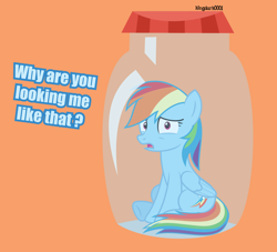 Size: 1024x928 | Tagged: safe, artist:kingdark0001, rainbow dash, pegasus, pony, g4, dialogue, female, jar, jar meme, lewd container meme, looking at you, mare, open mouth, pony in a bottle, scared, simple background, sitting, solo, the implications are horrible, vector