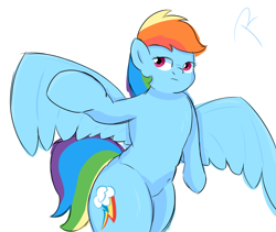 Size: 1280x1080 | Tagged: safe, artist:reinbou, rainbow dash, pegasus, pony, semi-anthro, g4, arm hooves, simple background, solo, white background