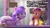 Size: 1274x720 | Tagged: safe, edit, edited screencap, screencap, pipp petals, sunny starscout, alicorn, earth pony, pegasus, pony, ali-conned, g5, my little pony: make your mark, my little pony: make your mark chapter 2, spoiler:my little pony: make your mark, spoiler:my little pony: make your mark chapter 2, spoiler:mymc02e04, female, looking at each other, looking at someone, mane stripe sunny, mare, race swap, sunnycorn