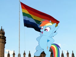 Size: 1600x1200 | Tagged: safe, artist:dashiesparkle, rainbow dash, pegasus, pony, g4, cusco, female, flag, flag of cusco, irl, mare, not pride flag, peru, photo, ponies in real life, solo