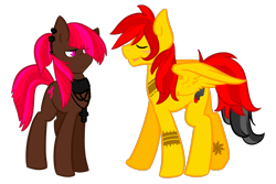 Size: 1280x853 | Tagged: safe, artist:sinclair2013, oc, oc only, oc:ruby shard, oc:smoke trail, earth pony, pegasus, pony, duo, female, male, mare, nudity, sheath, simple background, stallion, transparent background