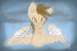 Size: 1280x853 | Tagged: safe, artist:sinclair2013, oc, oc only, oc:sinclair, pegasus, pony, bandage, bust, looking at you, portrait, sketch, solo