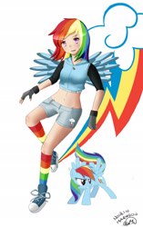 Size: 1868x2983 | Tagged: safe, artist:noirinmarudon, rainbow dash, human, g4, clothes, converse, human coloration, humanized, light skin, rainbow socks, shoes, simple background, socks, solo, striped socks, white background
