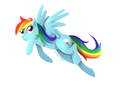 Size: 3507x2480 | Tagged: safe, artist:shingo-hayasa, rainbow dash, pegasus, pony, g4, flying, high res, simple background, solo, transparent background