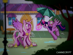Size: 1280x960 | Tagged: safe, artist:caninecrypt, princess cadance, spike, twilight sparkle, alicorn, dragon, pony, g4, canterlot, cute, cutedance, female, glowing, glowing horn, horn, magic, male, mare, rain, sisters-in-law, smiling, spikabetes, spread wings, telekinesis, twiabetes, twilight sparkle (alicorn), umbrella, wings