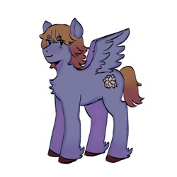 Size: 1280x1280 | Tagged: safe, artist:cardigansandcats, pegasus, pony, chest fluff, simple background, smiling, solo, standing, white background