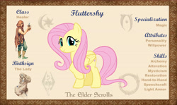 Size: 10100x6000 | Tagged: safe, artist:php170, fluttershy, pegasus, pony, g4, bio, cute, female, looking at you, mare, morrowind, oblivion, reference sheet, shyabetes, skyrim, smiling, smiling at you, solo, the elder scrolls, the elder scrolls: equestria, vector