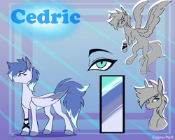 Size: 2500x2000 | Tagged: safe, artist:celes-969, oc, oc only, pegasus, pony, high res, pegasus oc, reference sheet, solo