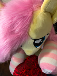 Size: 1350x1800 | Tagged: safe, artist:natureshy, fluttershy, pegasus, pony, g4, clothes, cute, gift giving, heart, heart eyes, hearts and hooves day, holiday, irl, photo, plushie, pony plushie, present, socks, solo, striped socks, valentine, valentine's day, wingding eyes