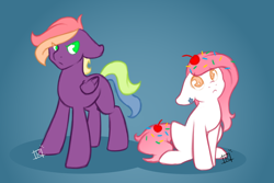 Size: 1280x853 | Tagged: safe, artist:sinclair2013, oc, oc only, oc:icing delight, oc:soft ray, earth pony, pegasus, pony, duo, female, mare, sitting