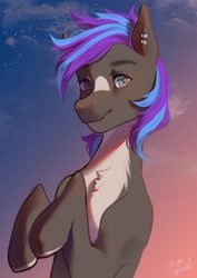 Size: 2480x3508 | Tagged: safe, artist:jaynsparkle, oc, oc only, earth pony, pony, blaze (coat marking), chest fluff, coat markings, commission, ear piercing, earring, facial markings, high res, jewelry, looking at you, piercing, smiling, smiling at you, solo, sunset