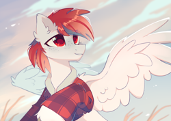Size: 2400x1700 | Tagged: safe, artist:mirtash, oc, oc only, pegasus, pony, bust, clothes, commission, ear fluff, freckles, shirt, solo, spread wings, wings