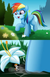 Size: 900x1389 | Tagged: safe, artist:jhayarr23, rainbow dash, oc, oc:vanilla beam, earth pony, pegasus, pony, g4, earthquake, female, flower, lily (flower), macro, male, mare, micro, size difference, smaller male, stallion, stomp