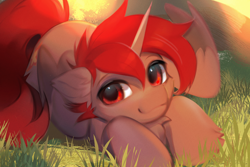 Size: 3000x2000 | Tagged: safe, artist:vensual99, oc, oc only, oc:hardy, alicorn, pony, alicorn oc, chest fluff, ear fluff, grass, high res, horn, looking at you, male, solo, stallion, wings