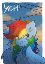 Size: 2480x3508 | Tagged: safe, artist:sinrinf, rainbow dash, pegasus, pony, g4, cheek fluff, chest fluff, commission, ear fluff, eye clipping through hair, fluffy, high res, postcard, sky, smiling, smirk, solo, wires, ych example, your character here