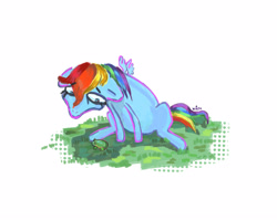 Size: 1600x1280 | Tagged: safe, artist:hotcurrykatsu, rainbow dash, frog, pegasus, pony, g4, simple background, solo, white background