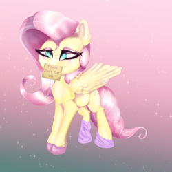 Size: 2000x2000 | Tagged: safe, artist:opal2023, fluttershy, pegasus, pony, g4, cute, gradient background, high res, pink background, sign, solo
