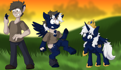Size: 2069x1200 | Tagged: oc name needed, safe, artist:detectivecoon, oc, oc only, alicorn, human, pony, alicorn oc, crown, detailed background, female, hoof shoes, horn, human male, human to pony, jewelry, male, male to female, mare, outdoors, princess shoes, regalia, rule 63, solo, transformation, transformation sequence, transgender transformation, wings