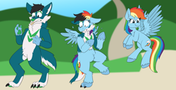 Size: 1758x900 | Tagged: safe, artist:detectivecoon, rainbow dash, oc, pegasus, pony, g4, character to character, female, flying, furry, furry oc, furry to pony, male, male to female, mare, rule 63, scared, transformation, transformation sequence, transgender transformation, unshorn fetlocks