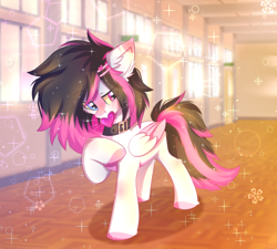 Size: 1500x1350 | Tagged: safe, artist:stesha, oc, oc only, oc:lunylin, pegasus, pony, blurry background, collar, colored belly, colored wings, commission, cute, ear fluff, eye clipping through hair, eyebrows, eyebrows visible through hair, female, full body, hairclip, heart, hearts and hooves day, heterochromia, holiday, looking away, mare, mouth hold, multicolored hair, multicolored mane, multicolored tail, pegasus oc, raised hoof, reverse countershading, school, shy, solo, tail, two toned mane, two toned tail, two toned wings, valentine, valentine's day, wings